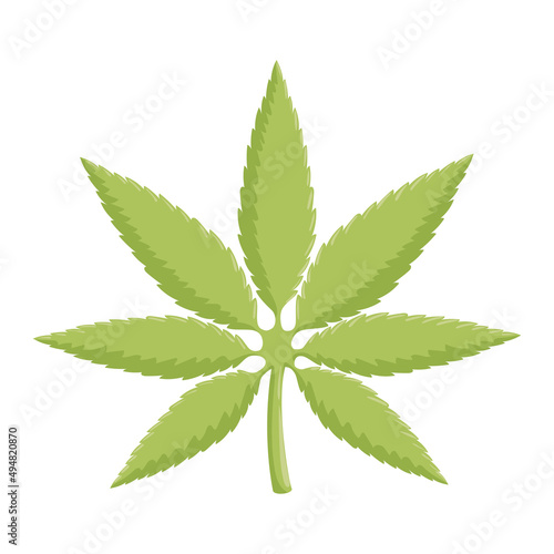 cannabis plat leafs