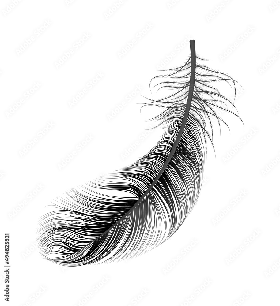 Obraz premium Feather Dark Realistic Composition