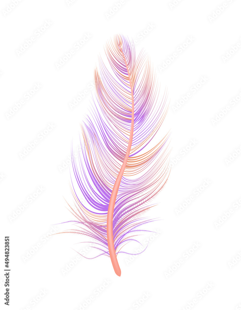 Colorful Gradient Feather Composition Colorful Gradient Feather Composition