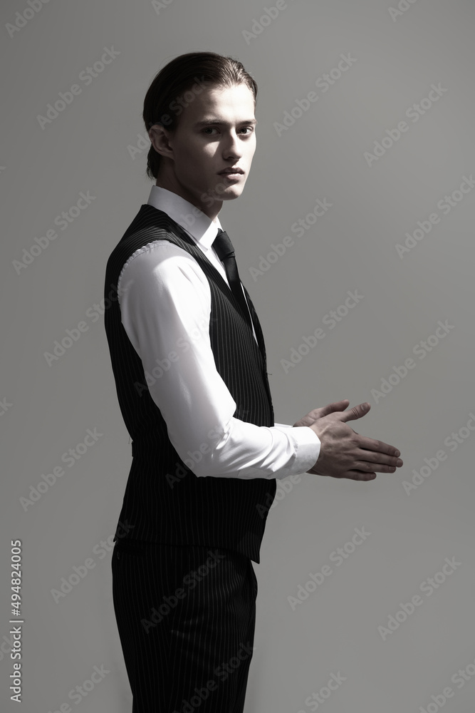 successful businessman portrait successful businessman portrait