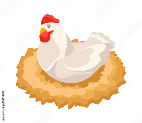 Isometric Brood Hen Composition