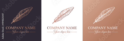 Feather logo vector template. Abstract design, elegant style. Brand for writer, yoga and other businesses.