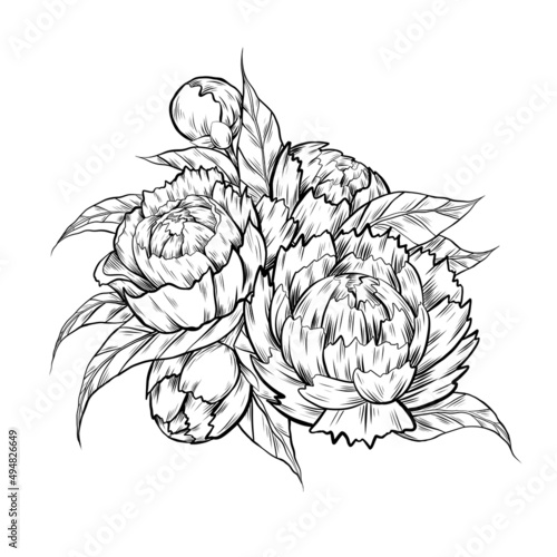 Vector monochrome sketch illustration of peony flowers with foliage. Contour ink Image of natural floral bouquet with hatching isolated from background. Botany clipart with bush for sticker and card