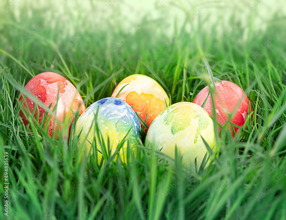 Colored eggs in green grass. Easter concept, hunter game. Copy space Colored eggs in green grass. Easter concept, hunter game. Copy space