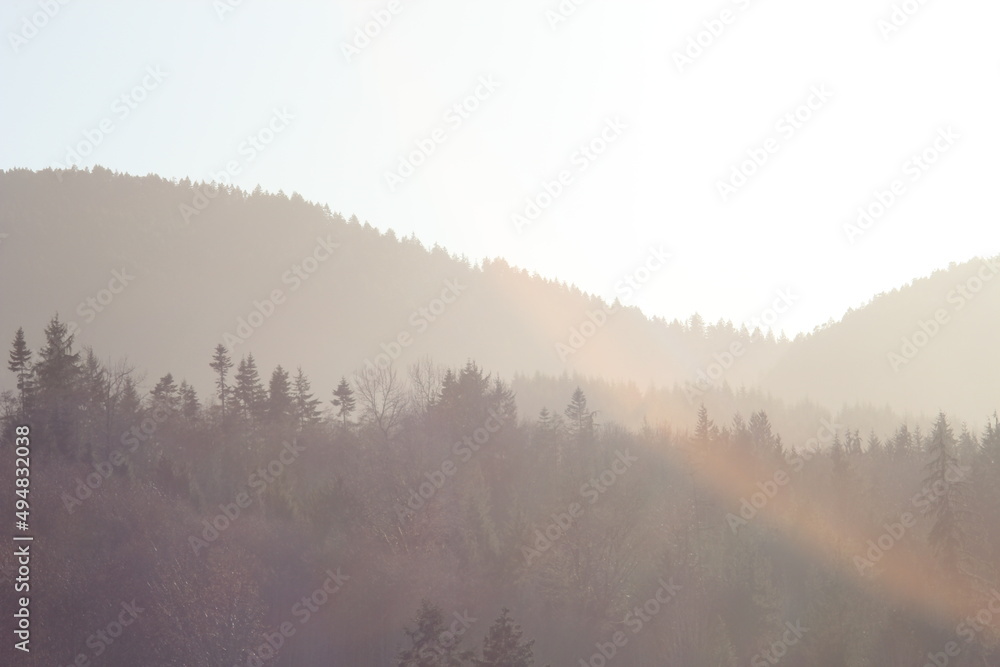 Mountains and pine trees with morning sunlight, sunlight shining on mountains in complex gradients.