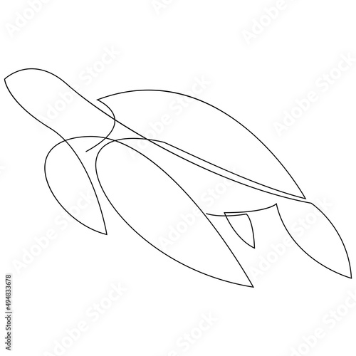 Minimal drawing of sea turtle animal drawn by single continuous line. Vector design isolated on white background.