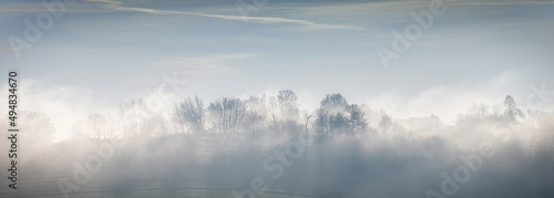 trees on the hill in the morning mist © NJ