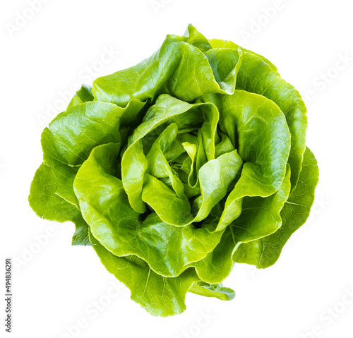 top view of fresh head of boston round lettuce isolated on white background