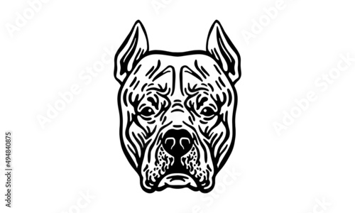 Argentine Dogo dog logo pet portrait