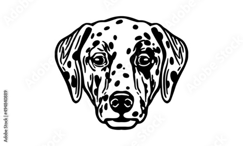 Dalmatian dog logo pet portrait