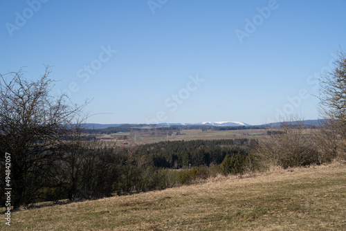 landscape with trees