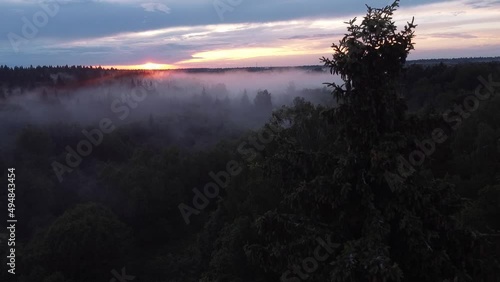 Beautiful sunset over a mixed forest. Thick fog covers the forest.Top view from a drone