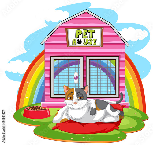 A cat outside the cat house