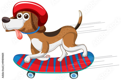Cute puppy dog playing skate on white background