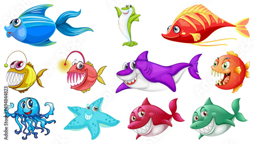 Sea animals cartoon collection