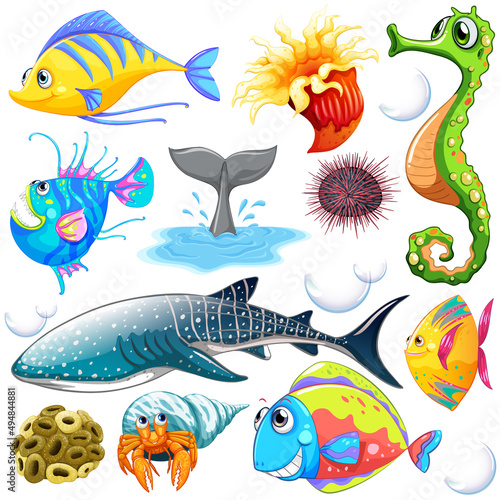 Different types of sea animals