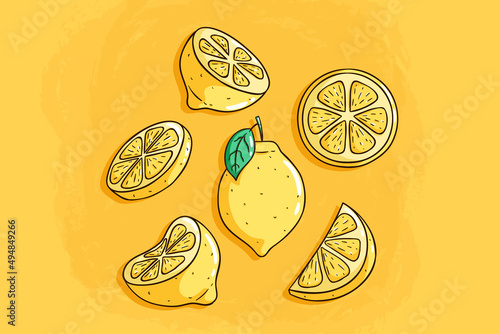 set of lemon fruit with hand drawn style