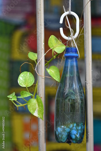 Plastic water bottle recycled for planting