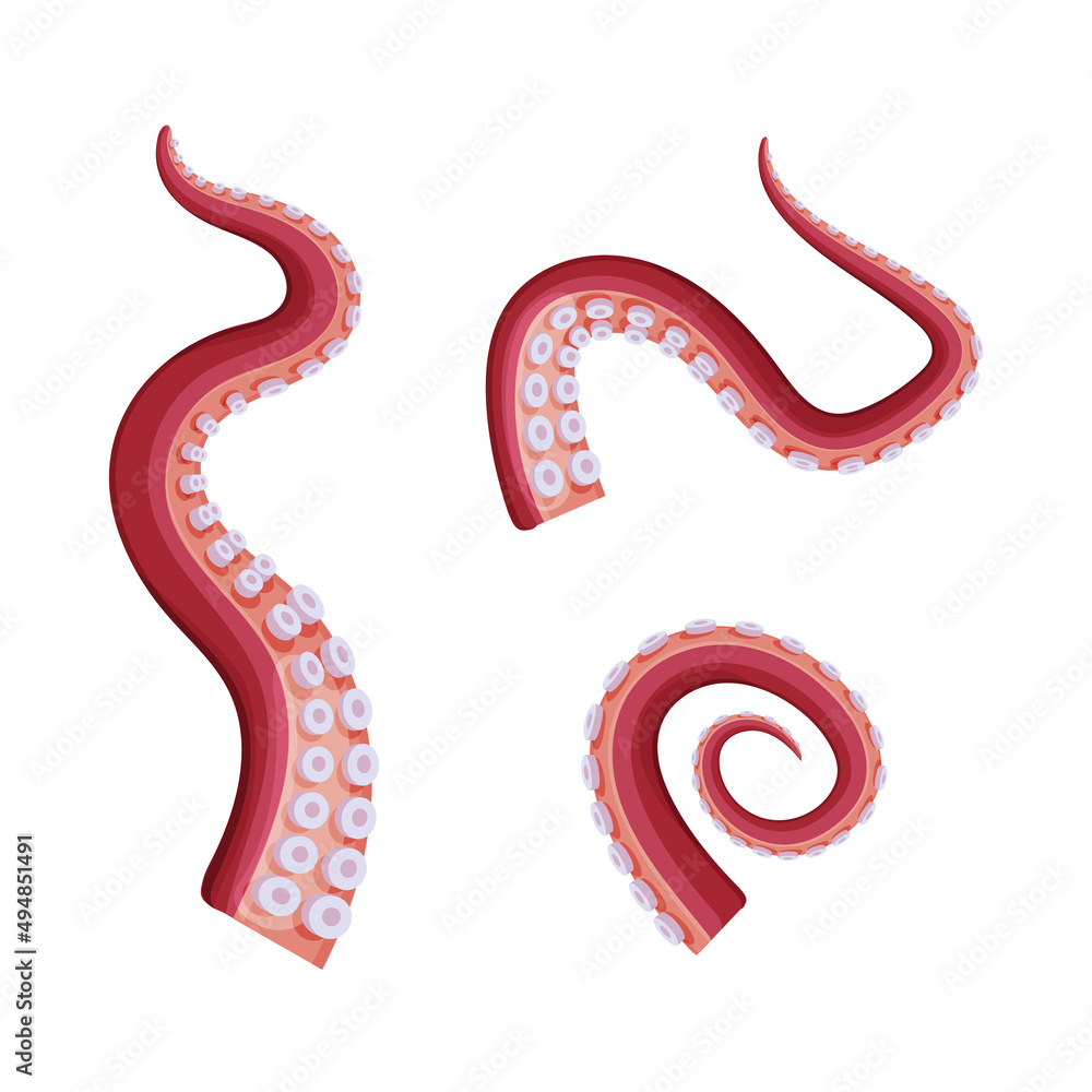 Fototapeta premium Octopus tentacles with suckers set, underwater marine creature body part cartoon vector illustration