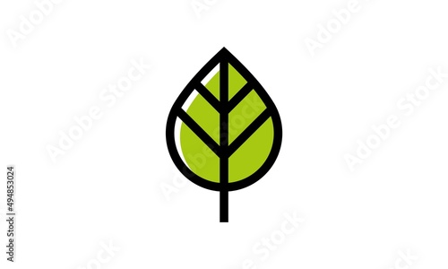 illustration vector graphic water drops and leaves