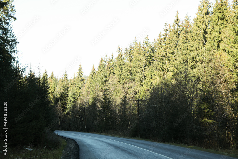 Naklejka premium Road in Ukrainian Carpathian mountains in sunny day
