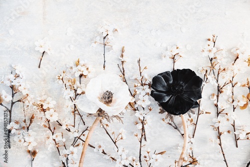 spring greeting card - blac...