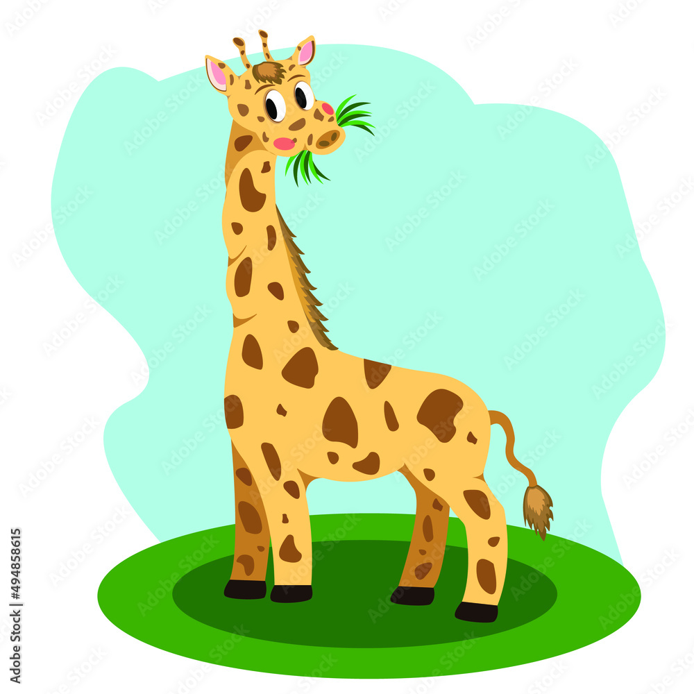Obraz premium Giraffe on the lawn chewing grass