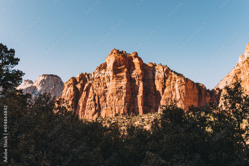 Fototapeta premium Felsen im Abendlicht im Zion Nationalpark in Utah USA