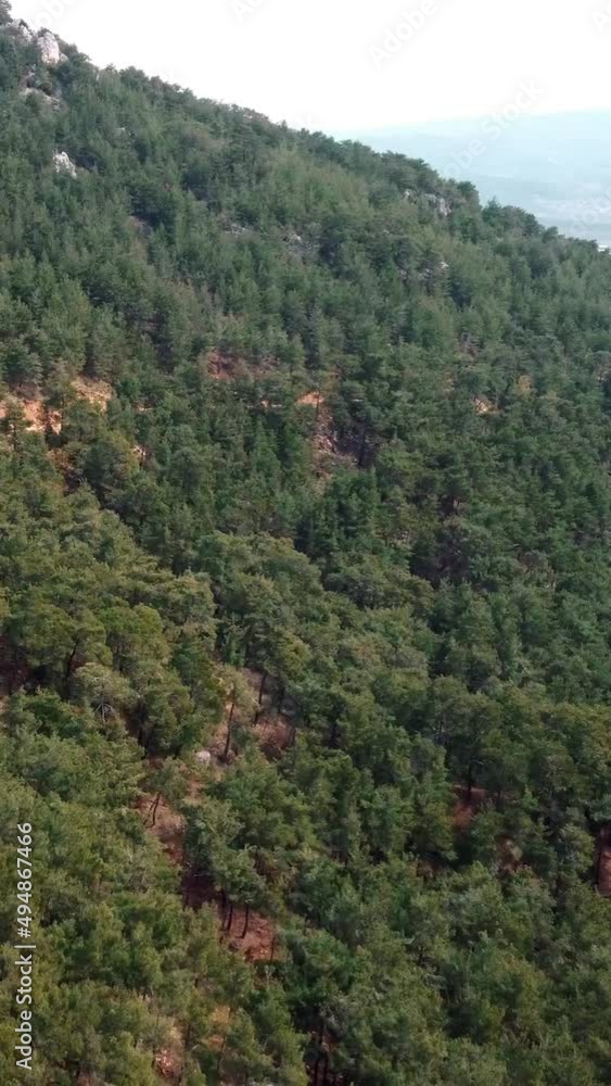 Aerial view of tree covered mountain Aerial view of tree covered mountain