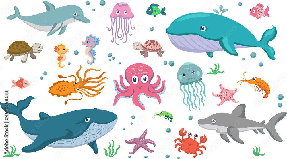 Obraz premium Marine life, set, sea animals and fish, various poses and situations, drawing, vector, images, cartoon