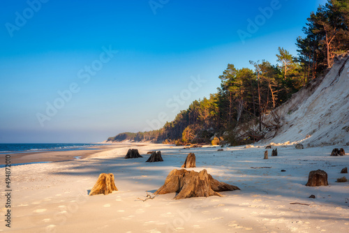 Fototapeta Naklejka Na Ścianę i Meble -  Beautiful scenery of the Baltic Sea beach in Leba. Poland