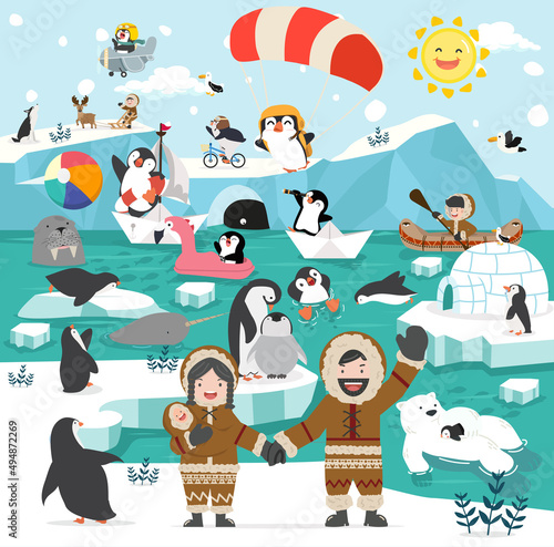 North pole winter arctic animals  icebergs