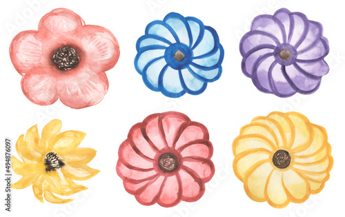 Watercolor bright florals set. Hand painted flowers illustration isolated on white background. Cute flowers for design