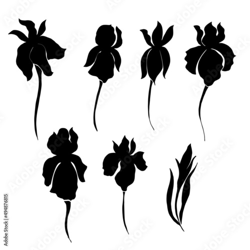 Iris flower vector draving. Black silhouette.