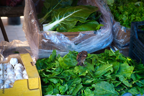 Generous gifts of spring nature - market stall with fresh green spinach, salad, dill, green onions and kitchen herbs from the farm in Novi Sad, Serbia photo