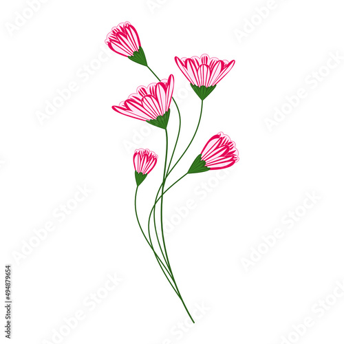 Bunch of carnation flower buds vector illustration isolated on white. Minimal floral design element for print, background, banner or card.