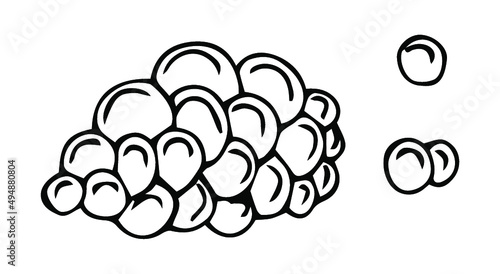 Salmon Caviar sketch icon vector. Hand drawn blue doodle line art Salmon Caviar sign. isolated symbol illustration