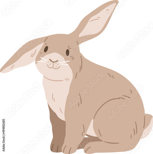 Cute Rabbit of French Lop Breed Realistic Illustration