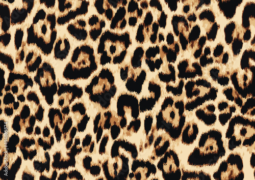 leopard fur texture photo