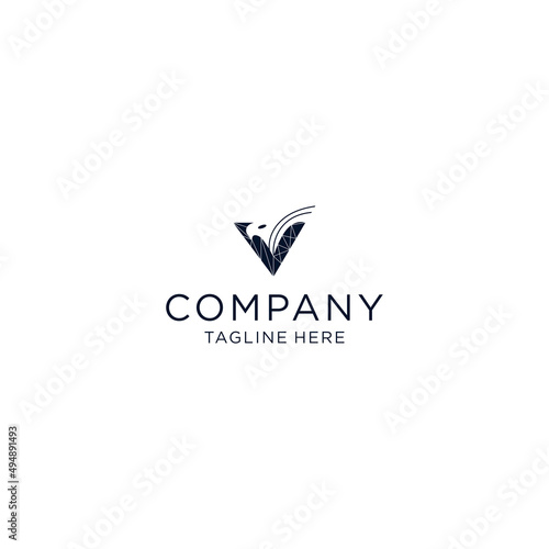  Letter v Eagle logo icon design vector template