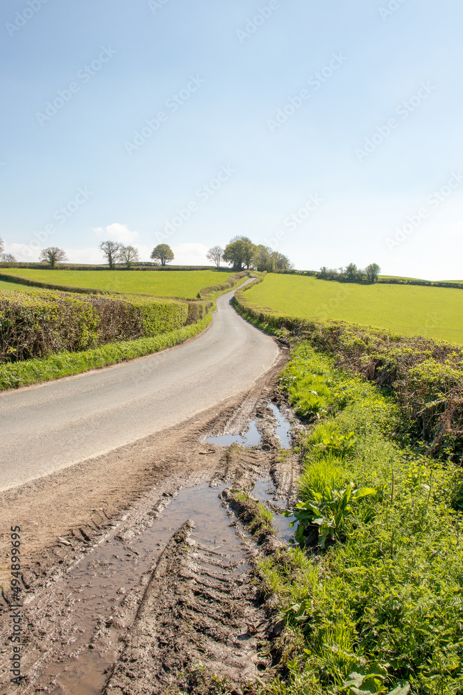 Naklejka premium Springtime hills in Wales.
