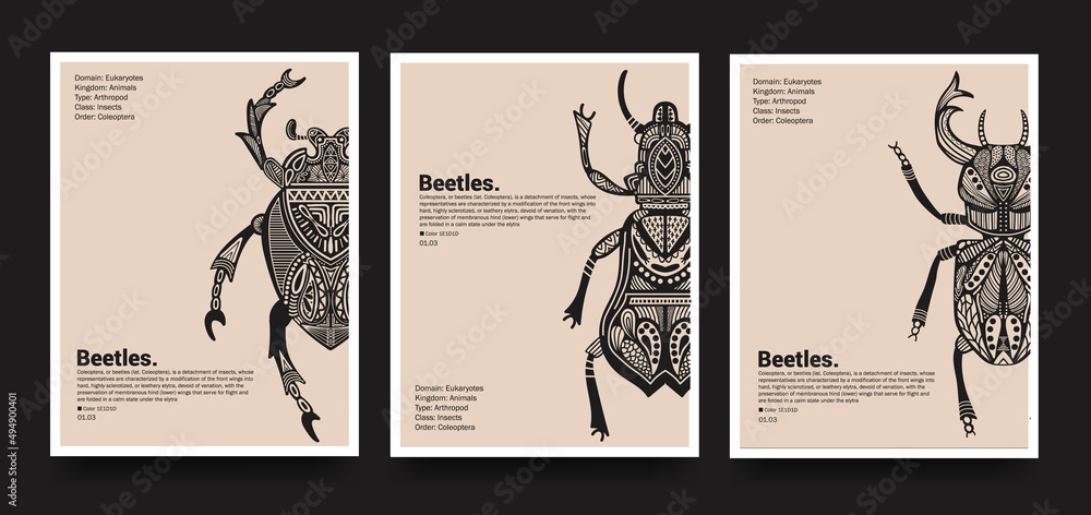 Poster collection. Vector detailed sketches of insects with patterns ...