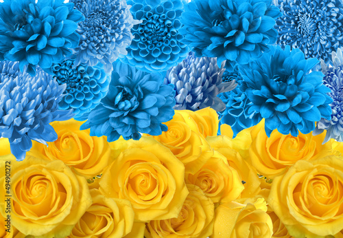 Flag of Ukraine made of beautiful flowers as background