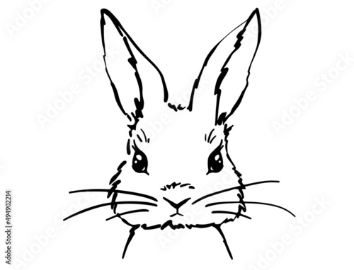 easter bunny head. Rabbit home sign decor © Vasileva