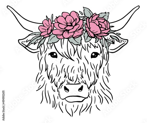 Cow head with flower wreath. Highland heifer face