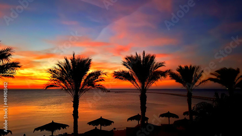 Beautiful view of palm trees at sunset in Soma Bay, Hurghada, Egypt photo