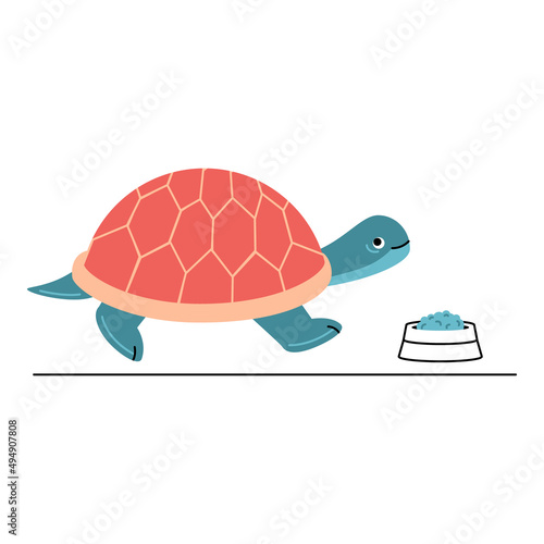 Vector illustration of cartoon turtle on white background.