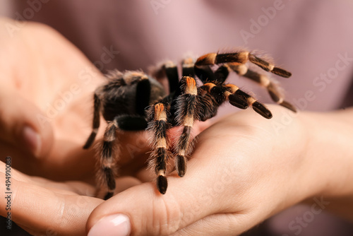 Woman with scary tarantula spider, closeup