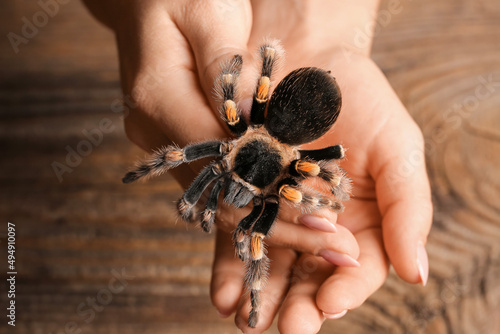 Woman with scary tarantula spider, closeup