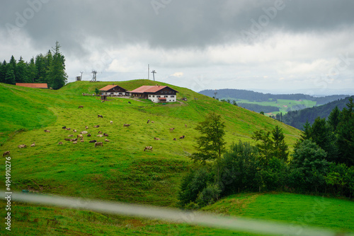 Scenic view of cozy village houses on the green hill, Hundle, Bavarian Alps, Germany photo